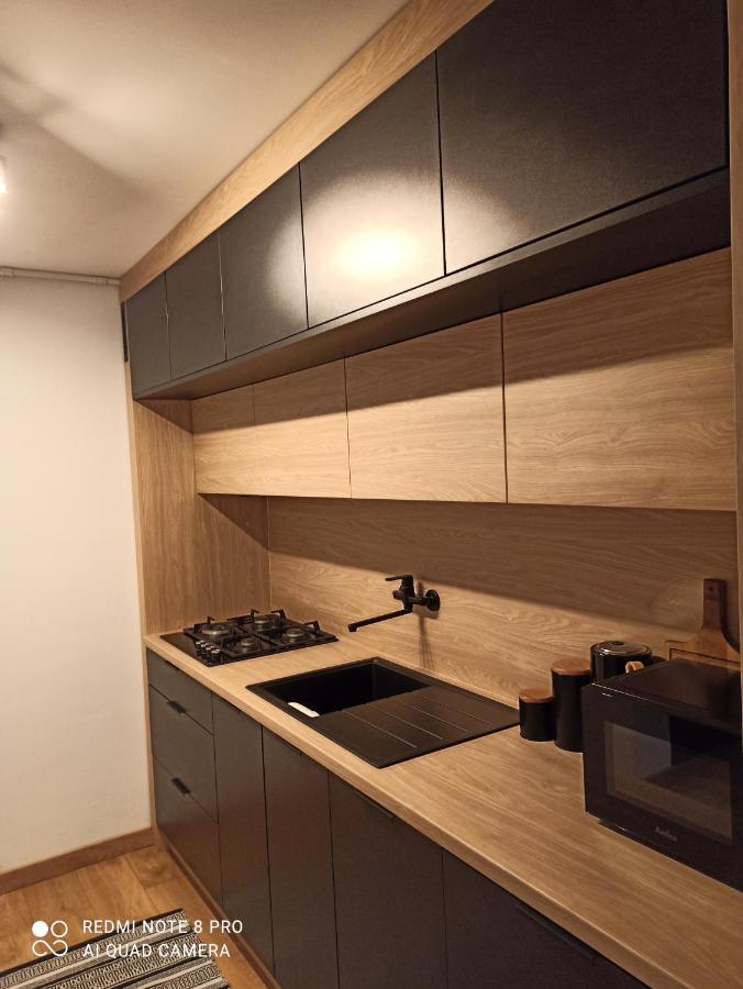 Studio Park Slaski Katowice/Chorzow Apartment Екстериор снимка